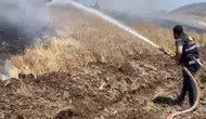 Karakoçan ilçesindeki tarlalarda çıkan yangın 35 dönüm ürünü yok etti