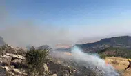 Hazro ilçesinde çıkan örtü yangını kontrol altına alınarak söndürüldü