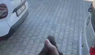 Genç ilçesinde sıkışan küçük kuş itfaiye yardımıyla özgürlüğüne kavuştu