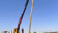 Şanlıurfa tarlalarında yakılan anızlar elektrik direklerini küle çevirdi