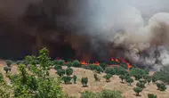 Diyarbakır genelindeki yangın felaketi 100 bin hektarlık alanı küle çevirdi