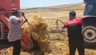 Ağınlı çiftçilerin mercimek hasadında kayıpları önlemek için denetim yapılıyor