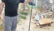 Siirt Dilektepe köyünde yılanlar yerleşim yerlerine kadar indi