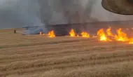 Silvan kırsalında dev yangın 5 bin dönümlük alanı küle çevirdi