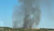 Diyarbakır Lice sınırlarında çıkan orman yangını korkuttu