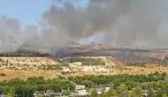 Şanlıurfa Karaköprü’deki ormanlık alanda çıkan yangın kontrol altına alındı