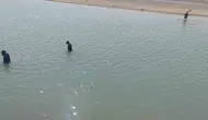 Silvan kırsalında kaybolan Abdullah Yanık üç gündür her yerde aranıyor