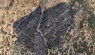Kulp kırsalında çıkan yangın 50 dönümlük araziyi küle çevirdi