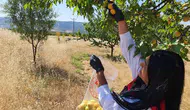 Elazığlı üreticilerin tarlalarında ilaç kalıntısı taraması yapılıyor