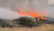 Bingöl Sancak bölgesindeki ormanlık alanda yangın çıktı