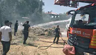 Edremit ilçesindeki ot yangını büyümeden kontrol altına alındı