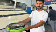 Van Gölü’nde balık avı sezonu yeniden açıldı