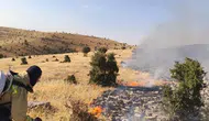 Mazıdağı bölgesinde çıkan anız yangını itfaiye ekipleri tarafından söndürüldü