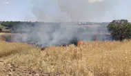 Elazığ Poyraz Köyü yakınlarındaki arazide çıkan yangın kontrol altına alındı