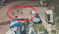 Silopi'de köpeklerin kovaladığı küçük çocuğu babası ve amcası son anda kurtardı