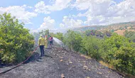 Bingöl Yamaç köyünde çıkan orman yangını ekiplerin hızlı müdahalesiyle söndürüldü