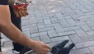 Elazığlı vatandaşın duyarlı davranışı aç kalan yavru kargayı hayata döndürdü