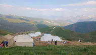 Hakkari yaylalarında yaz sezonu hareketliliği başladı