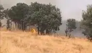 Lice Türeli bölgesindeki örtü yangını yerleşim yerlerini tehdit ediyor