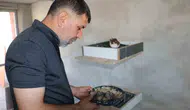 Diyarbakırın özgün güvercin oteli yaşadığı büyük yangın sonrası yeniden hizmete girdi