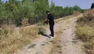 Esnaf trafikteki kaplumbağayı ezilmekten son anda kurtardı