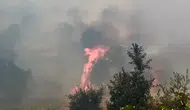 Lice kırsalında çıkan yangın 400 dönümlük alanı küle çevirdi
