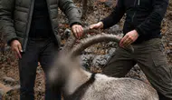 Siirtte yasa dışı yaban keçisi avlayanlara altı yıl sonra ceza kesildi