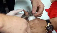 Bitlis’te lokantada oyun oynayan çocuğun parmağı çelik halkaya sıkıştı