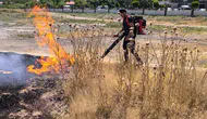 Gevaş Devlet Hastanesi yakınındaki arazide çıkan yangın korkuttu