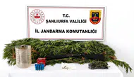 Akçakale Jandarmasından uyuşturucu ve silah operasyonu