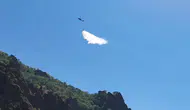 Tunceli Munzur Vadisi üzerindeki orman yangını ekiplerin çalışmasıyla söndürüldü