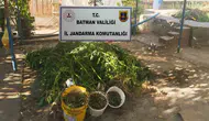Batman genelinde jandarma ekipleri çok sayıda kaçak ürüne el koydu