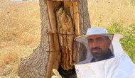 Lice kırsalında arıların izini sürerek ağaç kovuklarından doğal bal topladılar