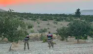 Şanlıurfalı fıstık üreticilerinin hasat mesaisinde jandarma koruması devrede