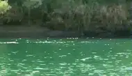 Dicle Nehrinde Piknik Sırasında Devrilen Bottan Bir Genç Kadın Hayatını Kaybetti