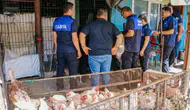 Diyarbakır’da hijyen alarmı: Eski Hal bölgesinde 17 işletmeye mühür