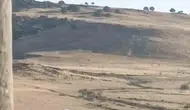 Ergani'de yuvasında mahsur kalan leyleği elektrik ekipleri kurtardı