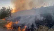 Elazığ Aşağı Demirtaş köyünde mangal ateşi otluk alanı küle çevirdi
