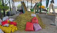 Çermikli üreticiye erken hasat uyarısı