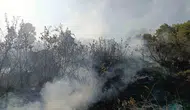 Bingöl ve Solhan kırsalındaki yangınlar ekiplerin müdahalesiyle tamamen söndürüldü