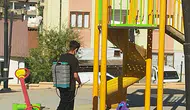 Hakkari belediyesi yaz aylarında haşerelere karşı ilaçlama mesaisini artırdı