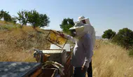 Batman Gercüşlü arıcılar verimli geçen sezonun ardından bal hasadına hazırlanıyor