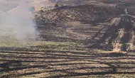 Siirt Kurtalan’da anız yangını meyve bahçesini küle çevirdi
