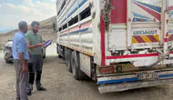 Yüksekova yollarında hayvan sevkiyatı için sıkı denetim dönemi başladı