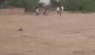 İpinden kurtulan inek sahibine boynuzuyla saldırdı
