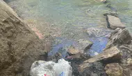 Çermik Sinek Çayı bölgesindeki çevre kirliliği doğaseverleri isyan ettirdi