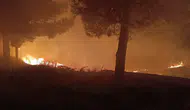 Siirt Kurtalan’daki mezarlıkta gece saatlerinde yangın paniği yaşandı
