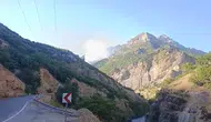 Munzur Vadisi ormanlarında başlayan örtü altı yangını ekipleri harekete geçirdi