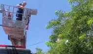 Bitlis'te ağaçta mahsur kalan kargayı itfaiye ekipleri kurtardı