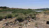 Dicle Nehri kıyısındaki plastik atıklar doğaya ve canlılara zarar veriyor